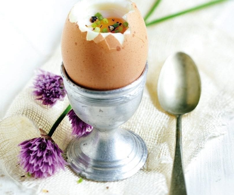 The hidden Secret of the Eggs